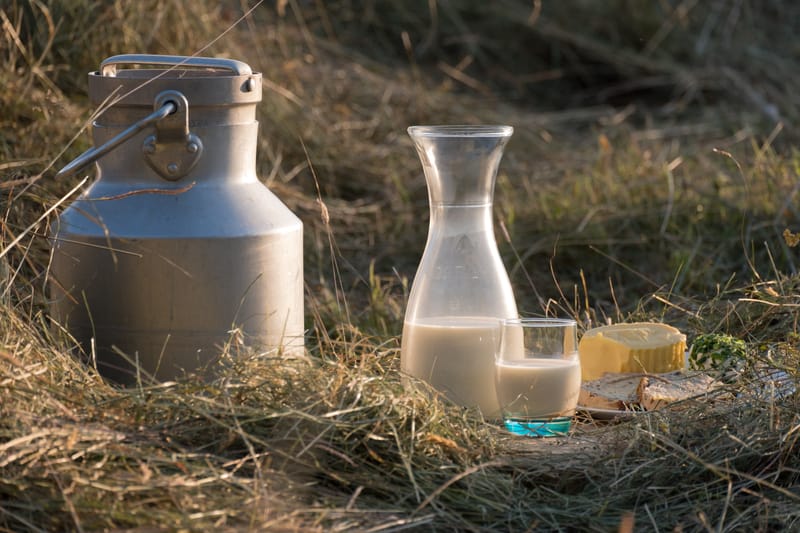 Impact sur la qualité du lait