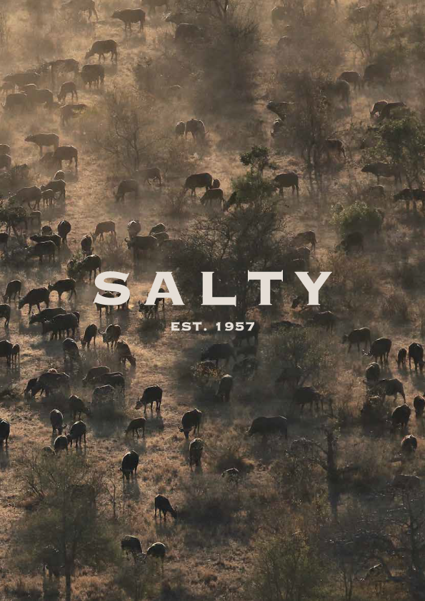 SALTY SAFARI