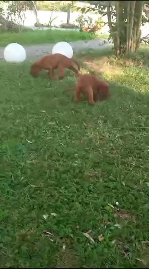 ESPLORARE E' UNA COSA SERIA!