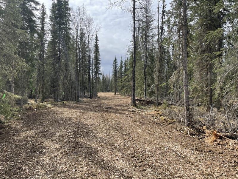Land Clearing