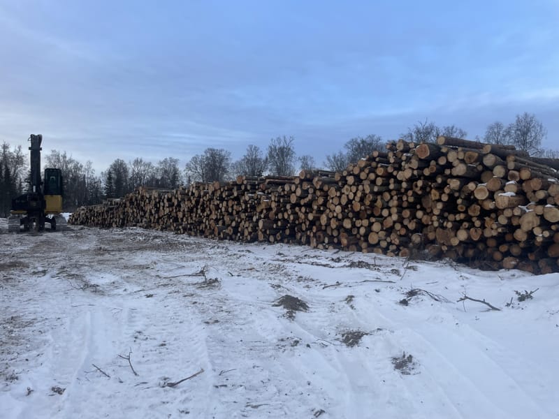 Logging