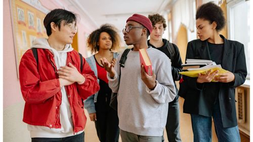 What the budget would be for an international student preparing university study in Albania？