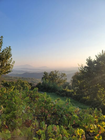 萨兰达私人住宅出售20241102