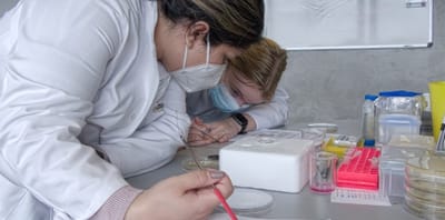 德国哥廷根大学XLAB游学/研学项目