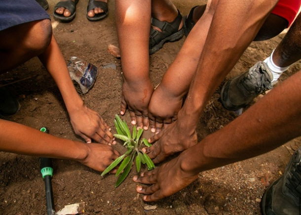 Digging deep and planting hope: How eco-schools Ghana brought global action days campaign 2025 to life