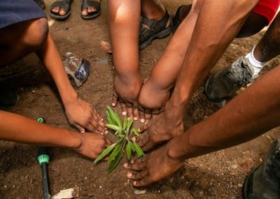 Digging deep and planting hope: How eco-schools Ghana brought global action days campaign 2025 to life