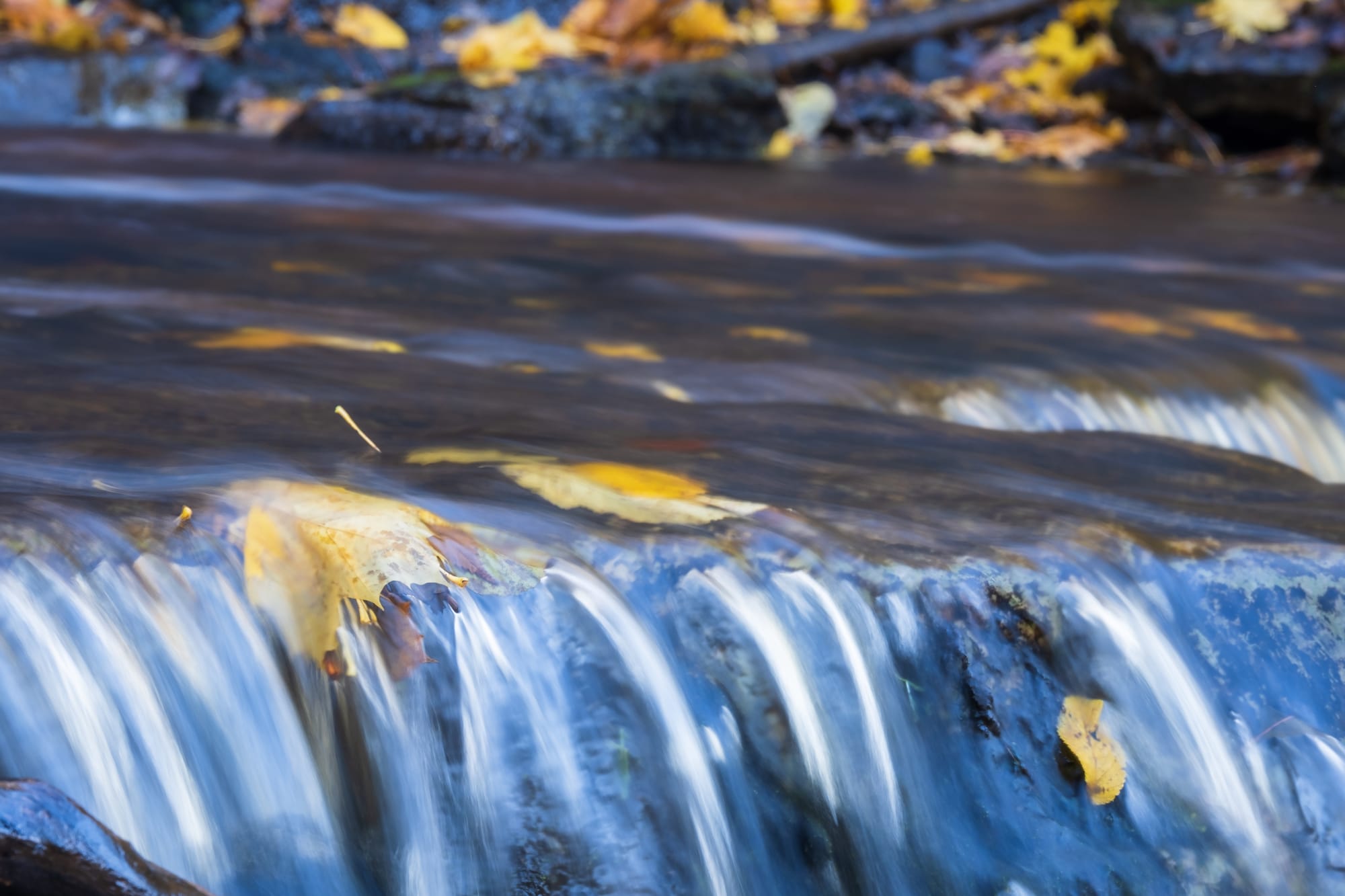 Navigating Depression and Anxiety with Acceptance and Commitment Therapy