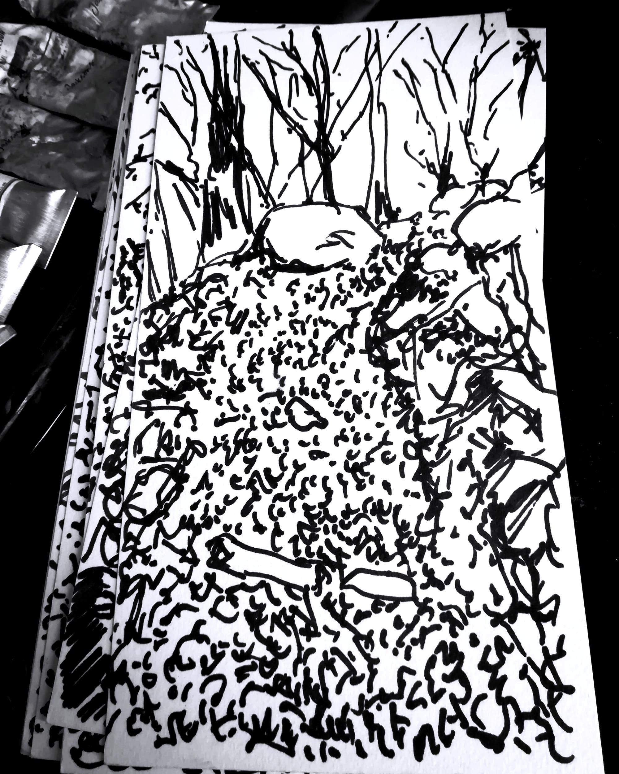 Plein-air Sketches