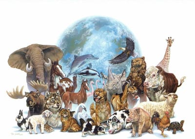 Los animales son emisarios conscientes, no especies inferiores