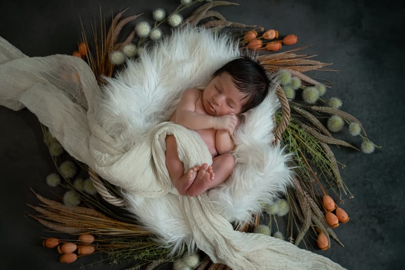 LIFESTYLE & STYLE STUDIO À DOMICILE