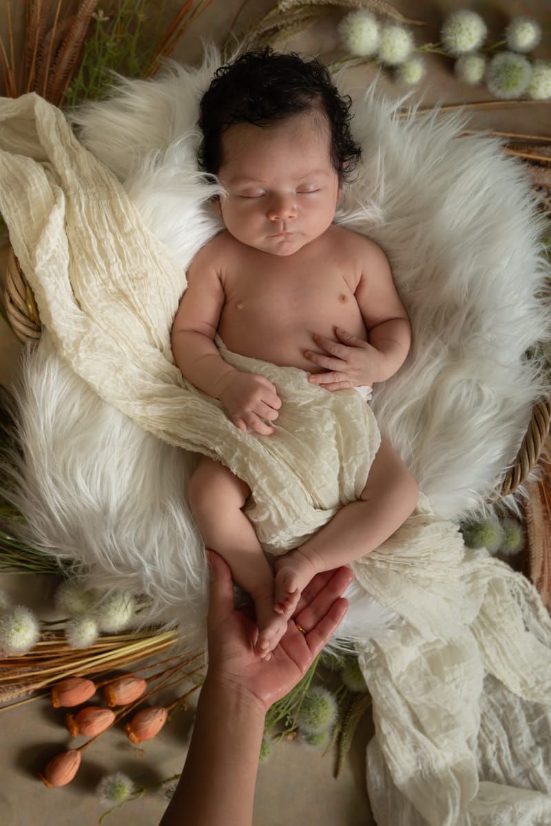 LIFESTYLE & STYLE STUDIO À DOMICILE