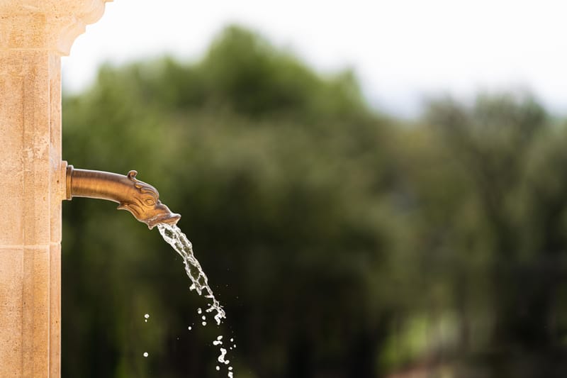 MARIAGE FRANCO-INDIEN