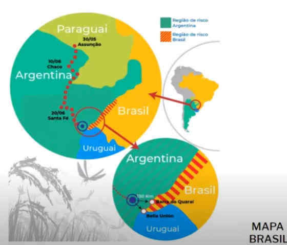 Mapa Brasil Plaga Langosta