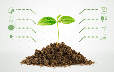 Factores que afectan la sostenibilidad de la agricultura