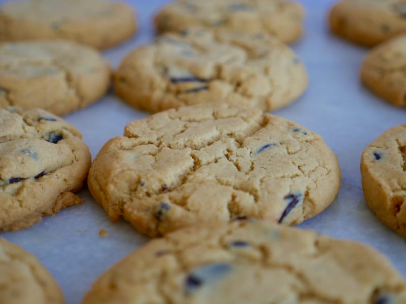 Chocolate Chip Sea Salt