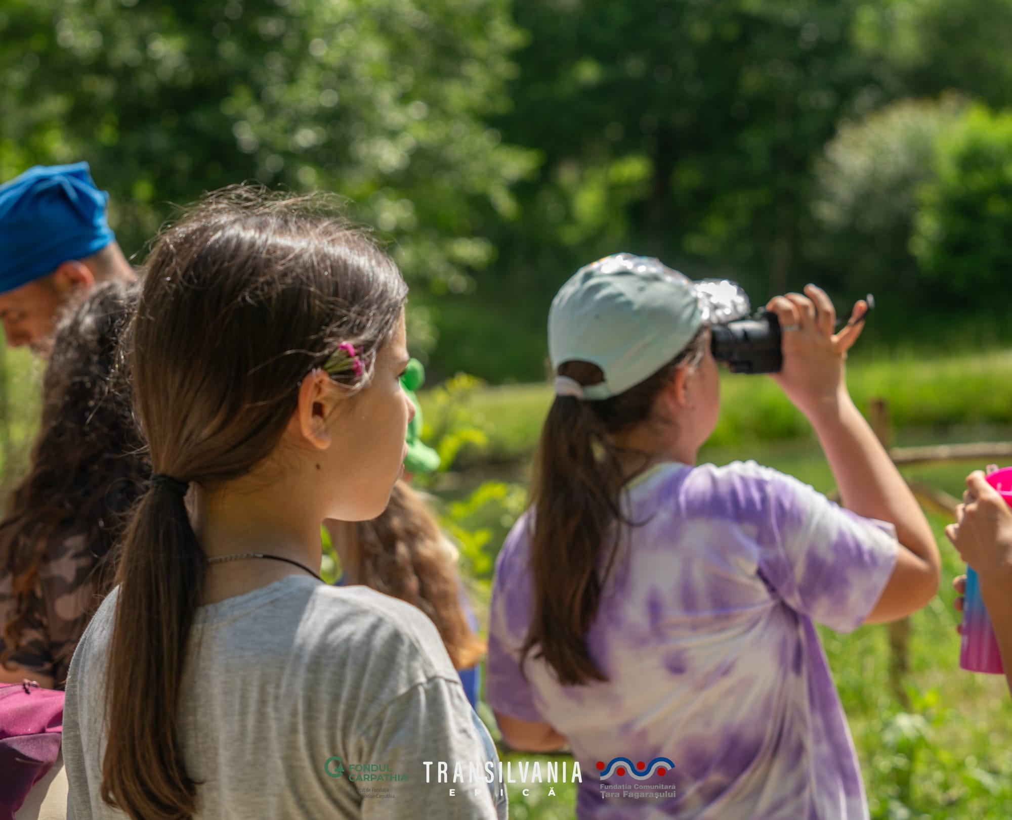 Activitati - Birdwatching