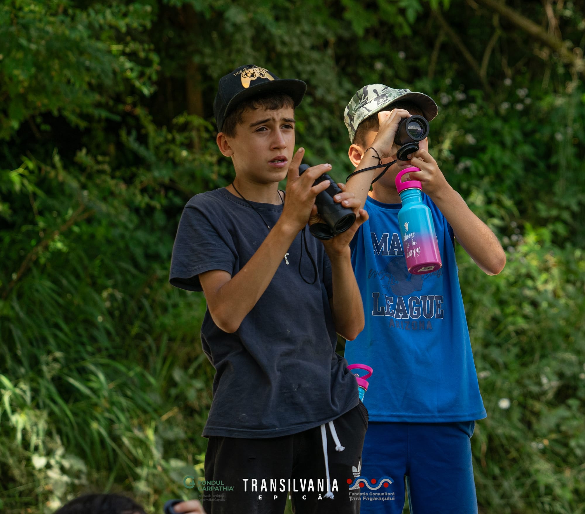 Activitati - Birdwatching