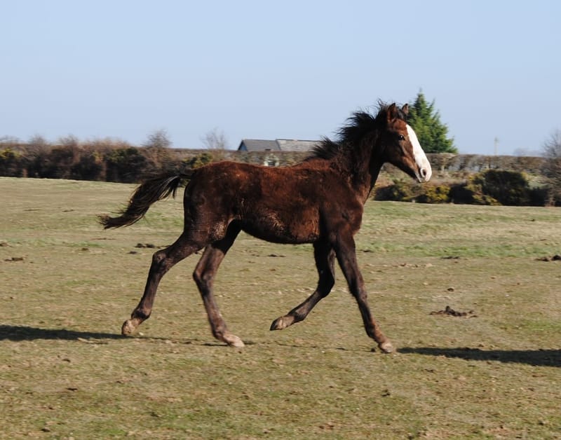 2024 Sean Paul Gaultier