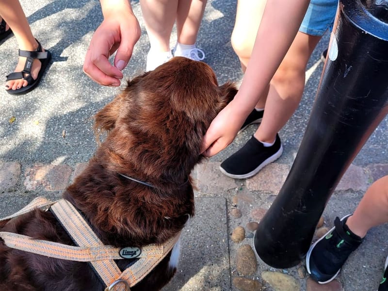 Therapiebegleithundeteam