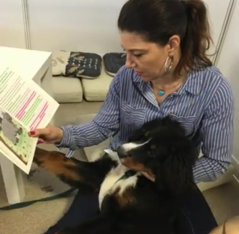 Schulbesuchs-und Lesehund