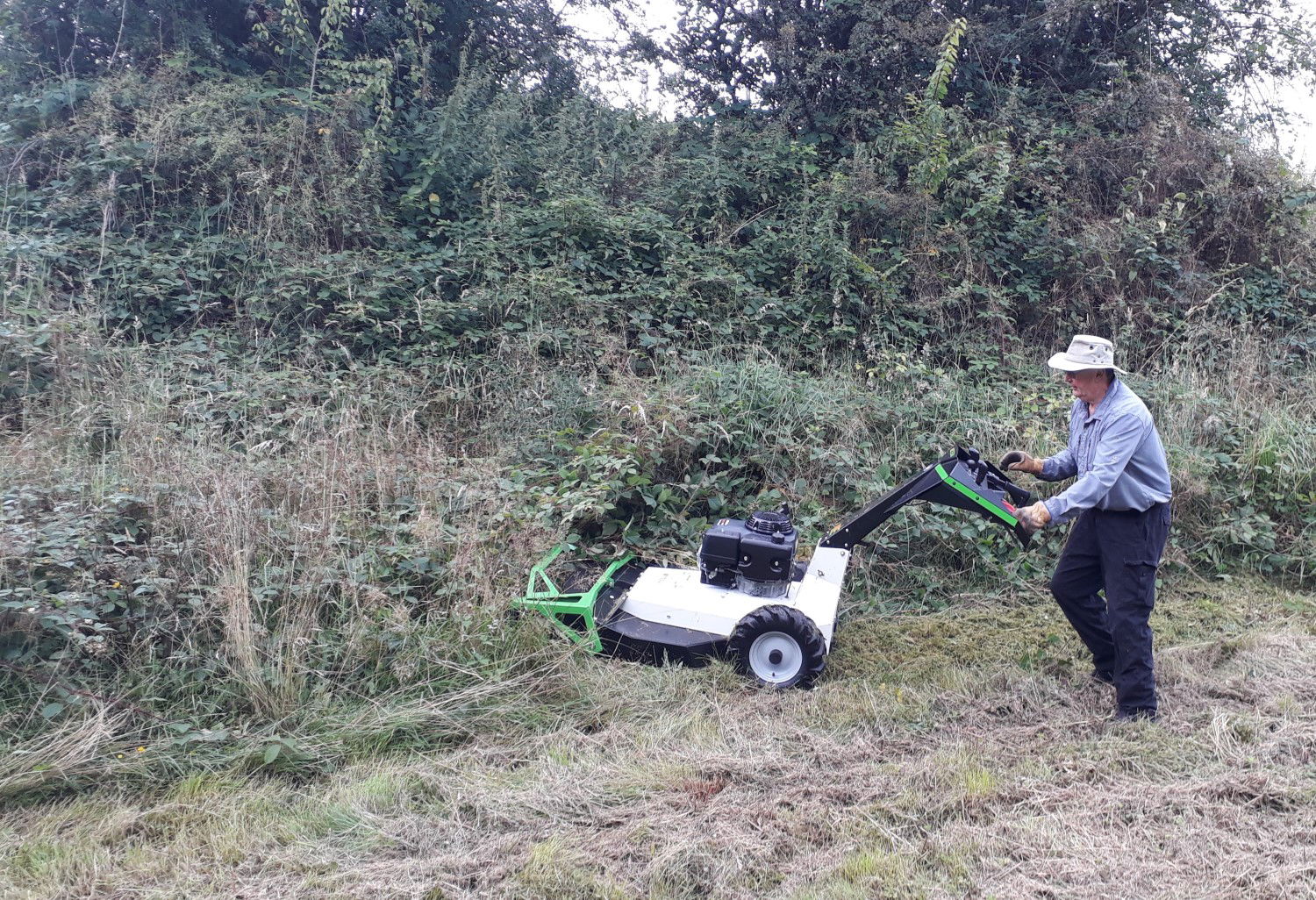 Cutting and mulching very overgrown area,