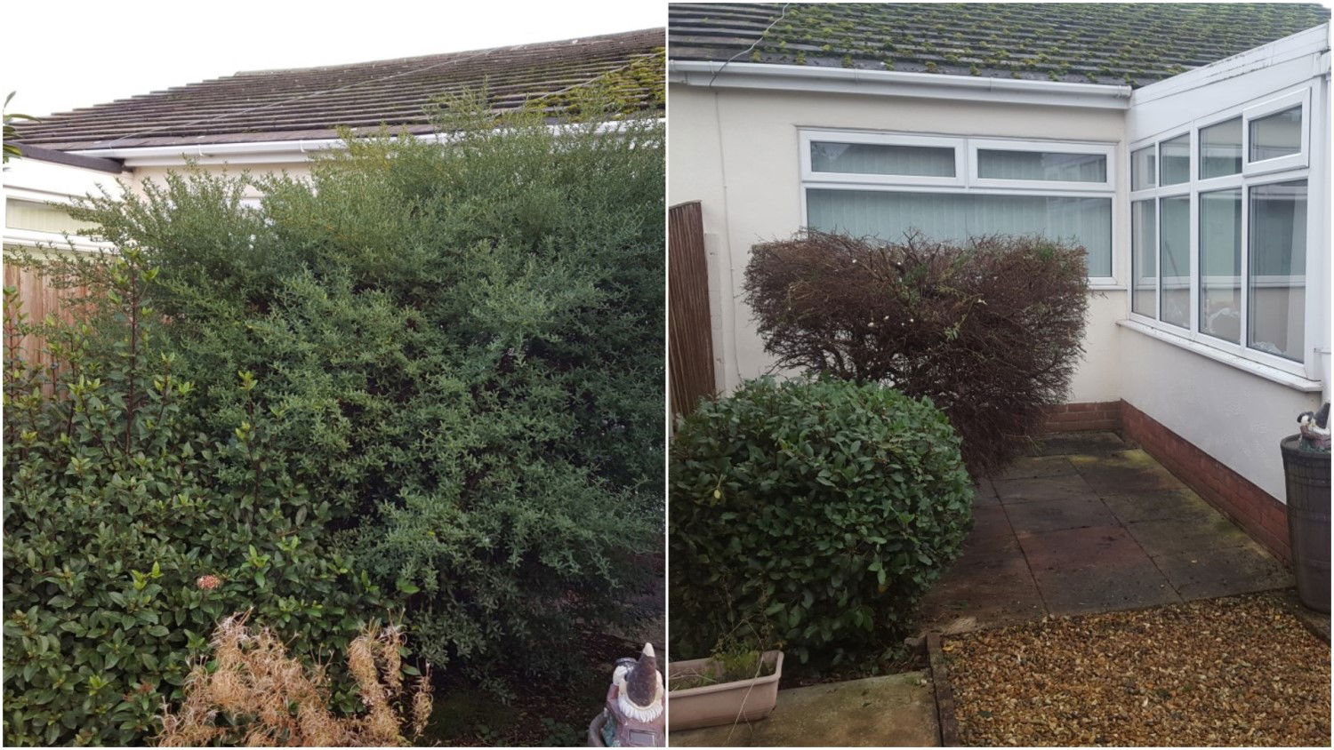 Winter Pruning, Reduction of Shrubs, Bushes & Hedges - First Cut Gardening Services