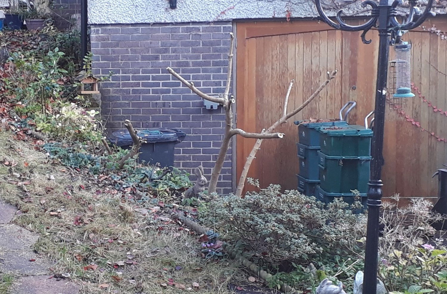 Winter Pruning, Reduction of Shrubs, Bushes & Hedges - First Cut Gardening Services