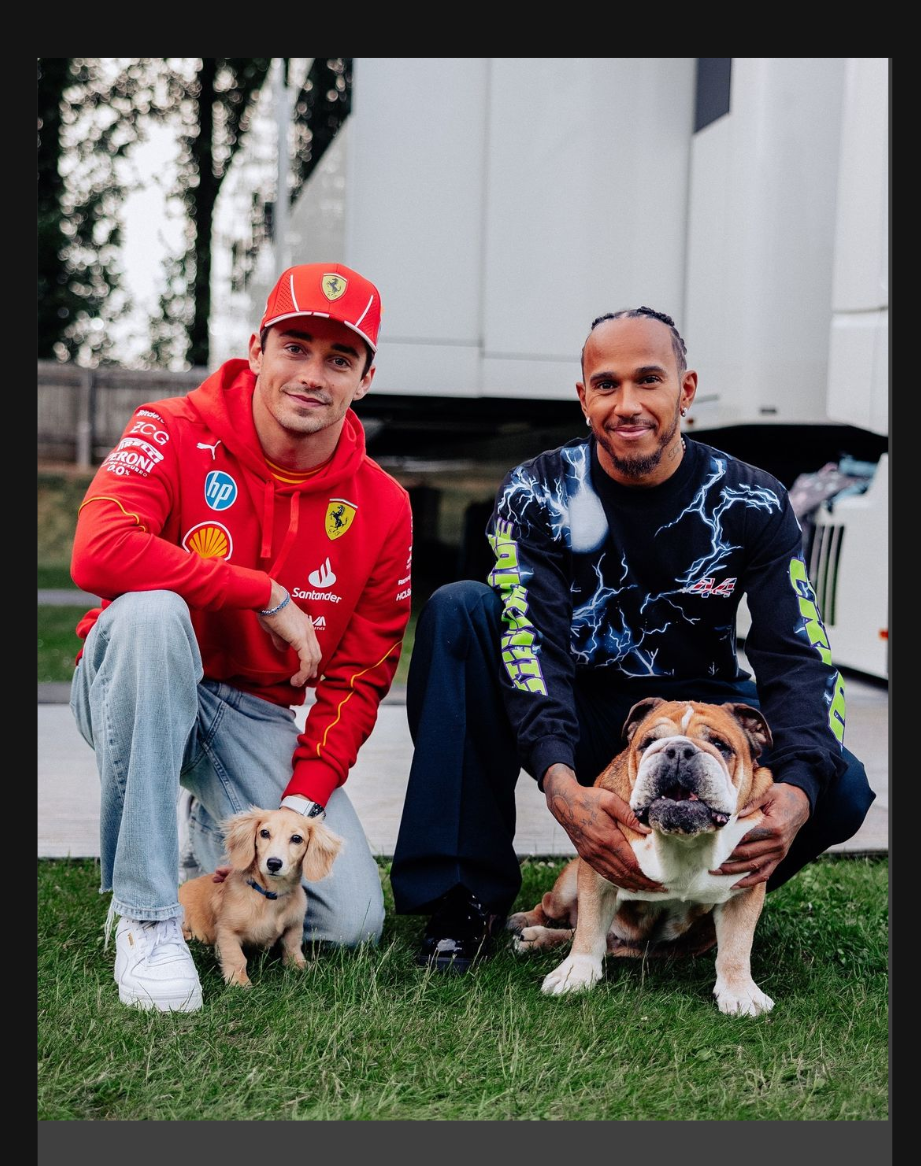 Las mascotas de Formula 1