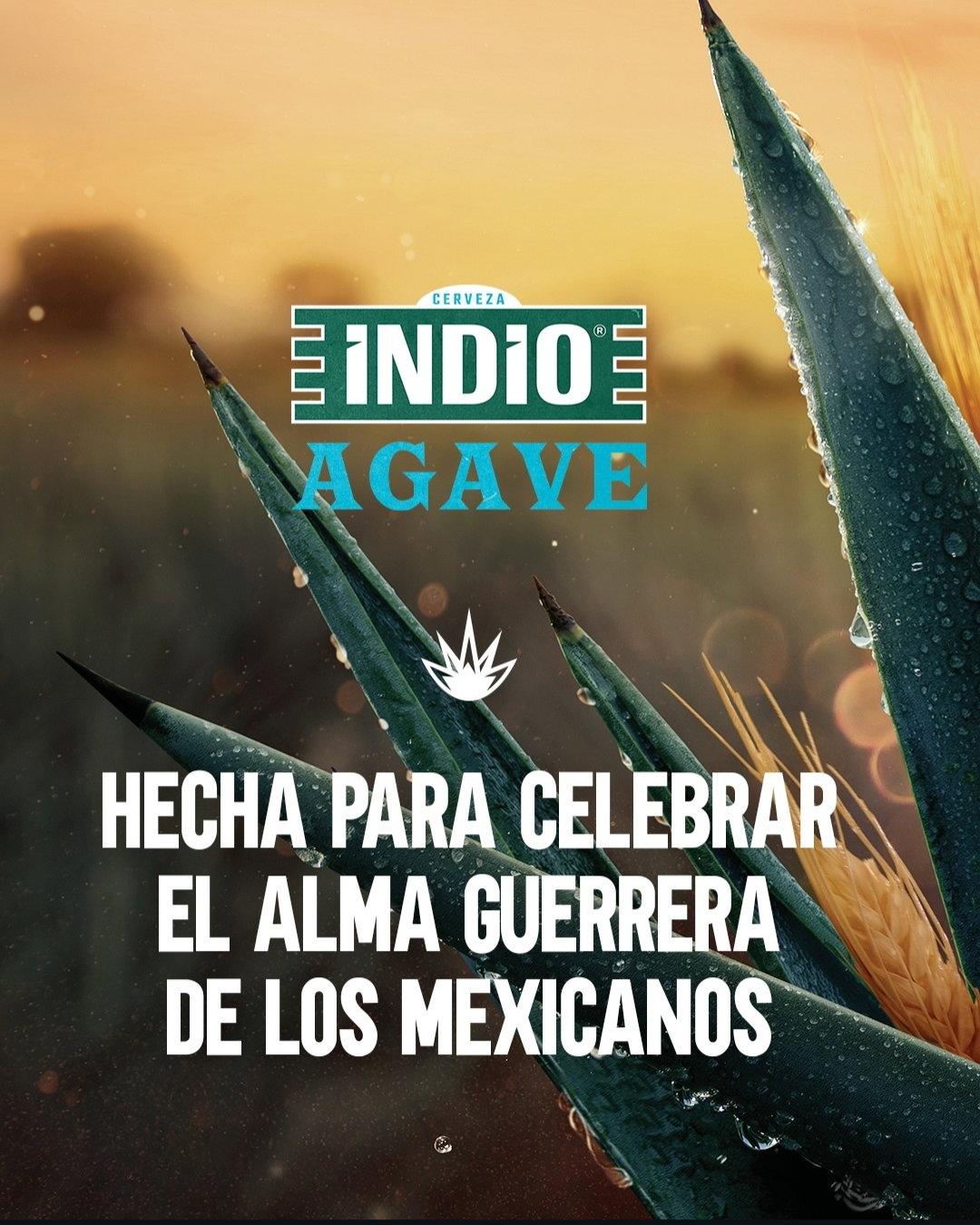 Indio Agave se quedará de manera permanente en el mercado mexicano por sus ventas y gran recibimiento de los consumidores
