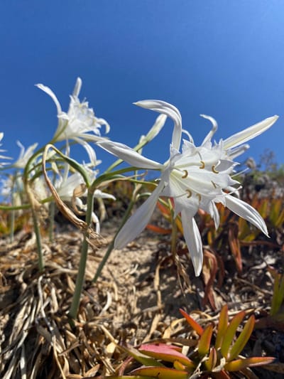 חדשות וישנות לראש השנה תשפ"ו