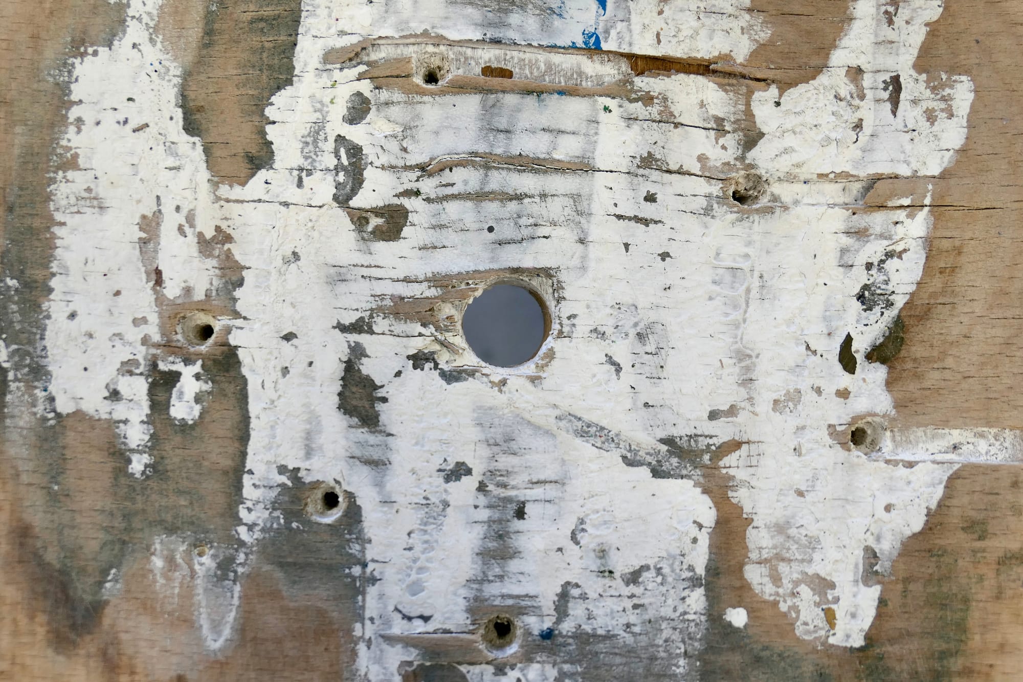 Häufig Übersehenes