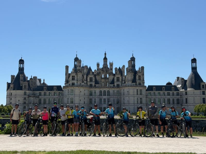 LOS CASTILLOS DEL LOIRA (FRANCIA)