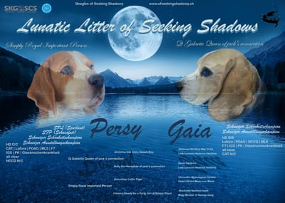 Welpen im Doppelpack (L & M-Wurf)