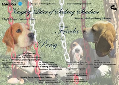 Unsere Frieda erwartet Welpen ;-)