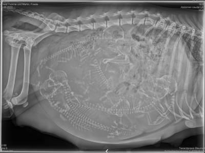 Es dauert nicht mehr lange...