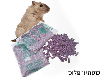 הדברת עכברים וחולדות ע"י מדביר מוסמך עם כופתיון פלוס ✔