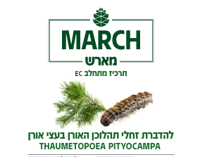 הזרקת חומר הדברה ע"י מארש לזחלי תהלוכן האורן ✔