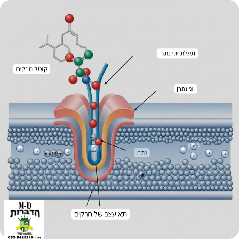 מה זה אינדוקסקרב (Indoxacarb) בחומרי הדברה בשימוש מדביר? ✔