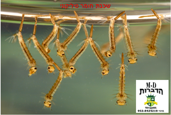 מה זה נוזל סיליקוני בחומרי הדברה בשימוש מדביר ❓