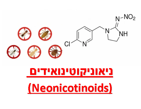 מה זה ניאוניקוטינואידים (Neonicotinoids) בחומרי הדברה ❓