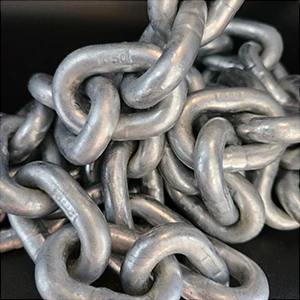 OMC G43 Anchor Chain