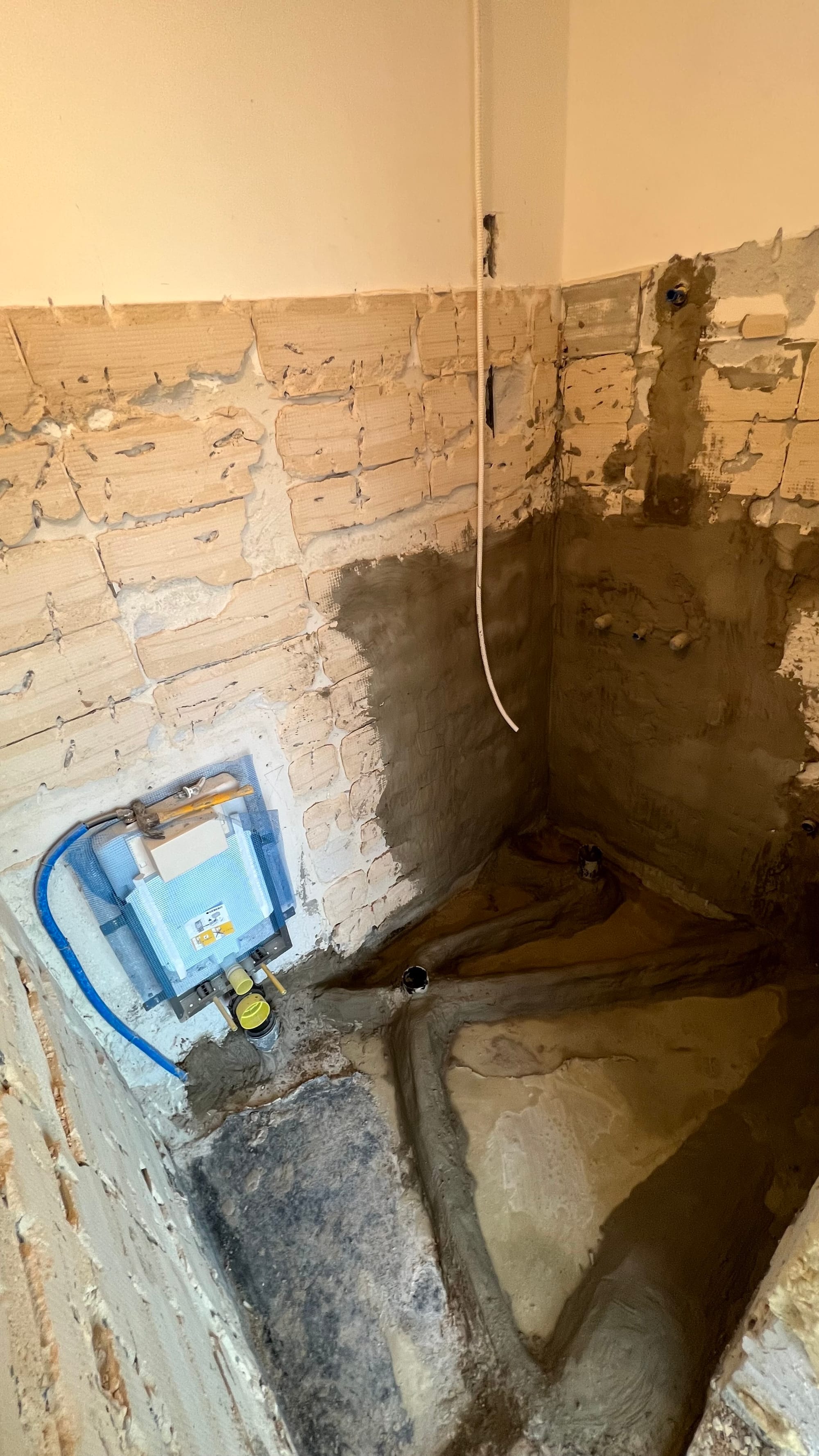 פרוייקט הפנטהאוס