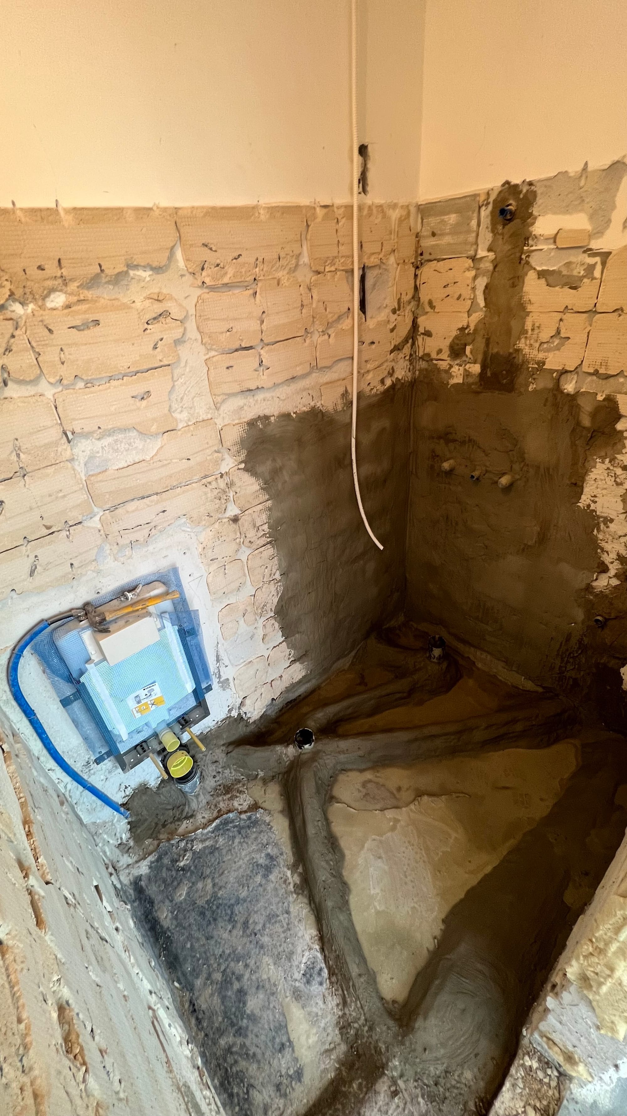 פרוייקט הפנטהאוס