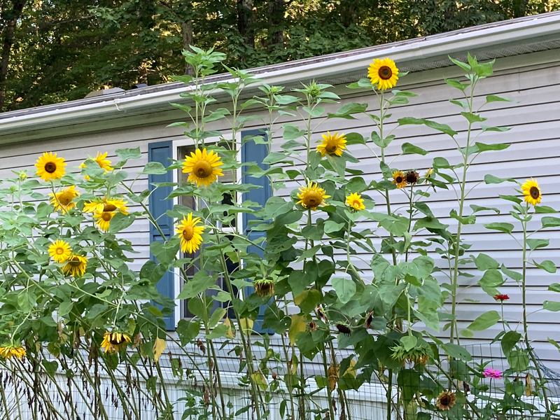 INTERSPIRITUAL COUNSELING