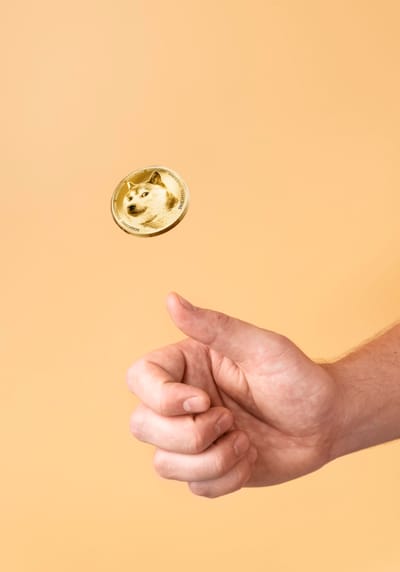 הצד השני של המטבע