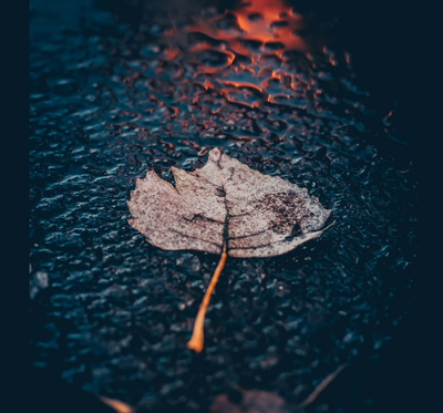 הפעם זה באמת