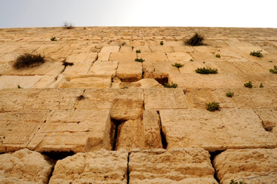 הזדמנות לגאולה