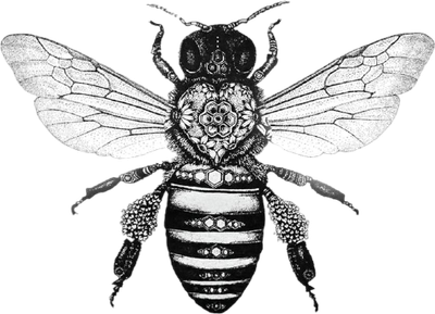 צוּף דְּבָרִים