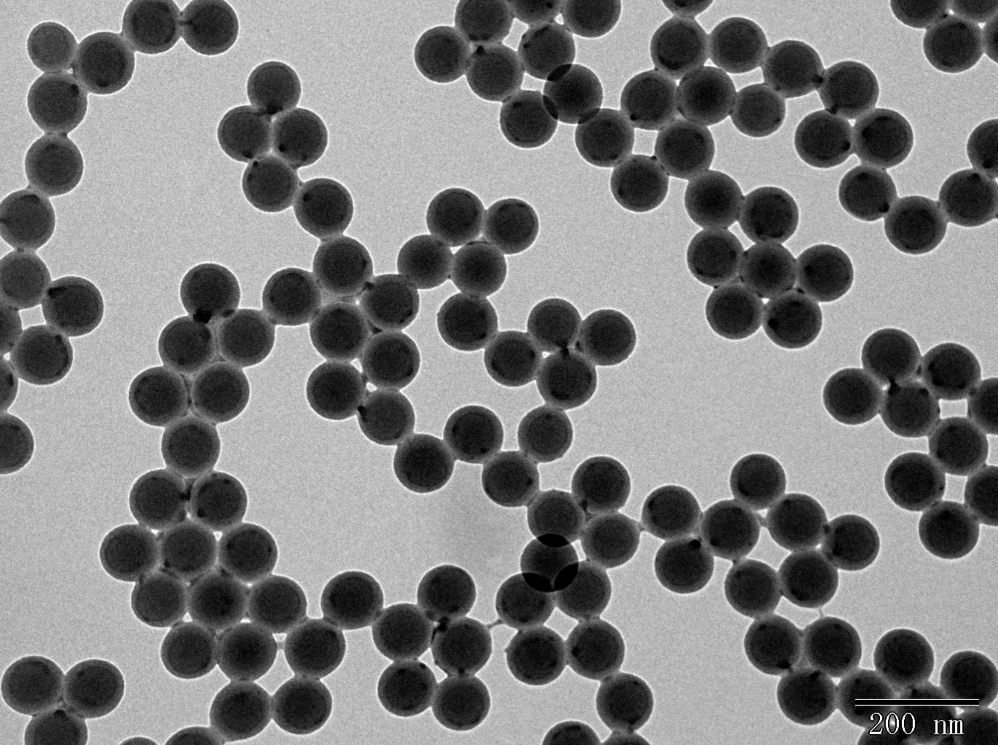 Polystyrene Nanoparticles: Durability and Longevity