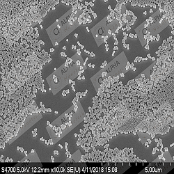 Silica Nanoparticles: What You Should Expect?